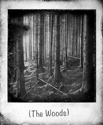 Error Channel - The Woods